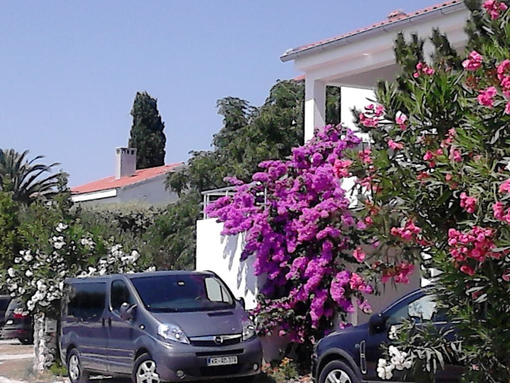 Sanja Apartment *